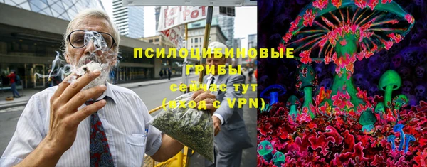 ПСИЛОЦИБИНОВЫЕ ГРИБЫ Абдулино