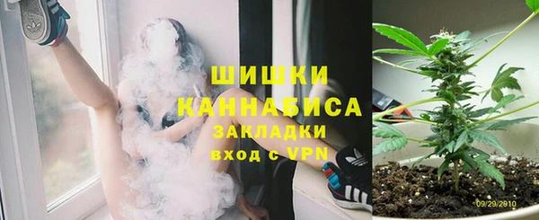 PSILOCYBIN Переславль-Залесский