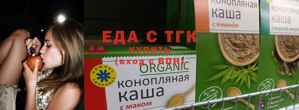 мяу мяу мука Абаза