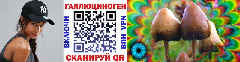 маркетплейс наркотические препараты  Туринск  Галлюциногенные грибы Cubensis 